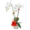 lan ho diep trang 02