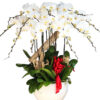 lan ho diep trang 21