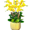 lan ho diep vang 19