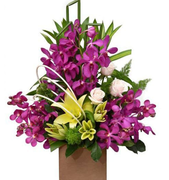 Hoa Văn Phòng 21 1 office flowers 21