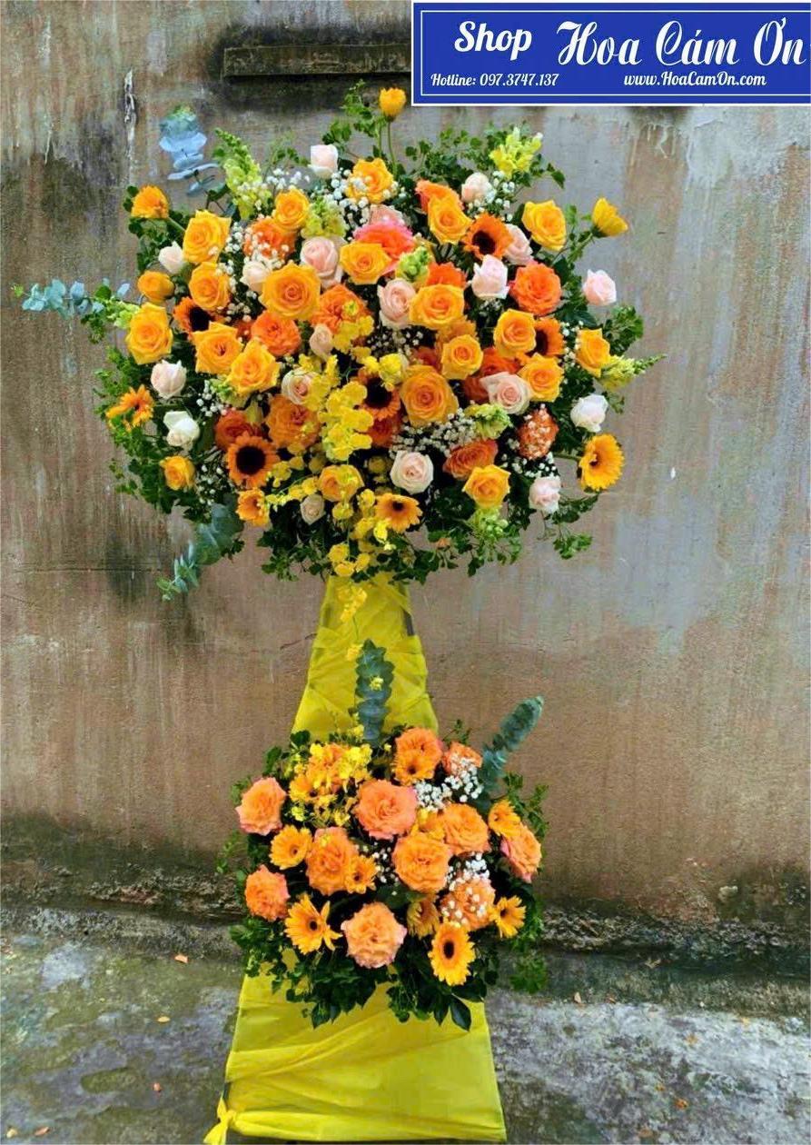 hoa-khai-truong-2-tang-1