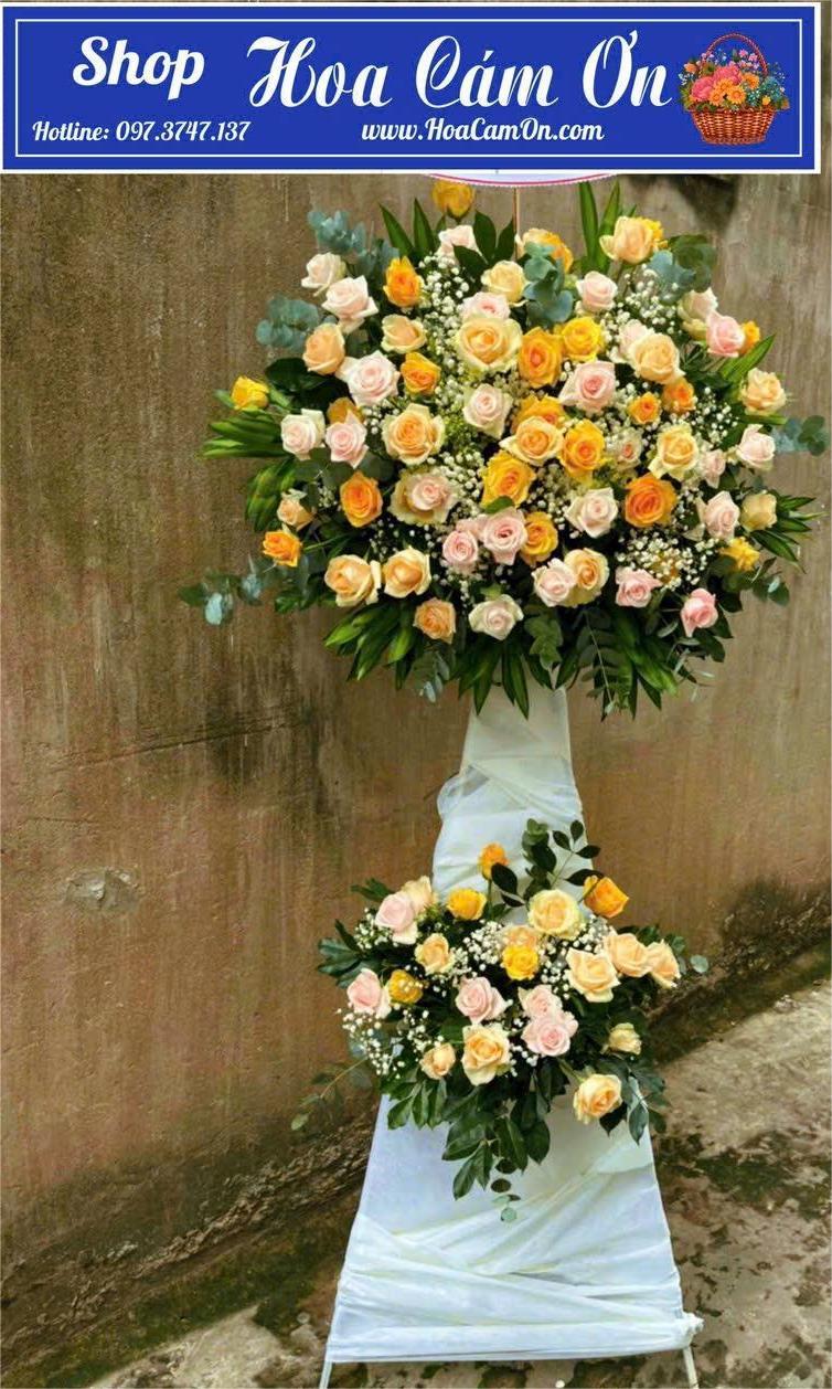 hoa-khai-truong-2-tang-2